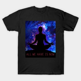 All We Have Is Now T-Shirt